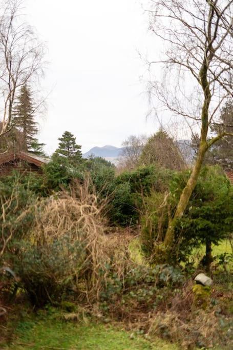 Holiday home Cozy Norwegian Style Log In Rural Snowdonia - 2 Bedrooms & Parking By Seren Short Ffestiniog